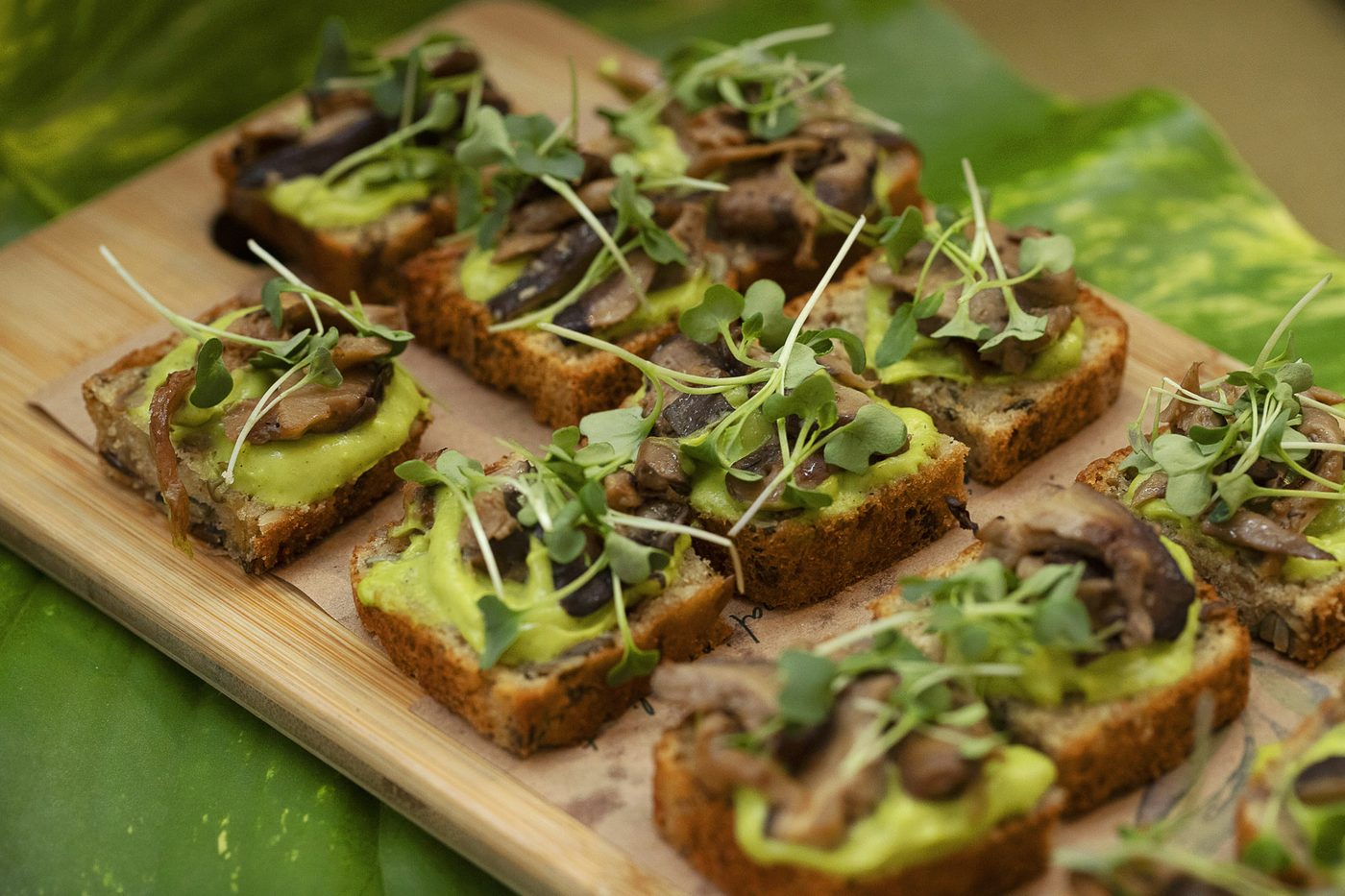 Torradas com creme verde, cogumelos salteados e microverdes